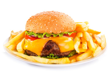 hamburger with fries