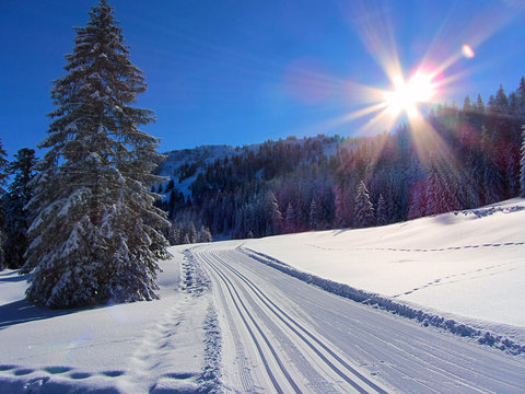 Winterloipe im Allg&auml;u