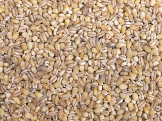 Gräupchen