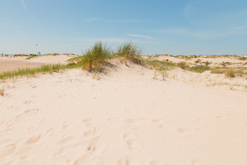 Sand dunes near the beach with blue sky. Summertime.