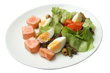 pieces of salmon with lettuce