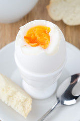 Fototapeta premium boiled egg closeup
