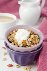 homemade granola with goji berries and yogurt in a bowl closeup