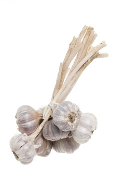 Bunch Garlic, White Background.