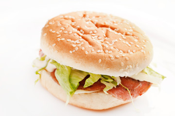 burger on the white