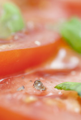 Sliced Tomato, Basil & Seasoning.