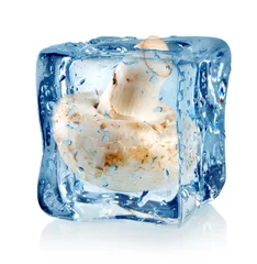 Abwaschbare Fototapete Im Eis Eiswürfel und Champignons