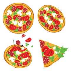 Vector illustration of pizza on white background