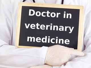 Doctor shows information: doctor in veterinary medicine