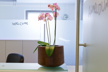 Medicalcenter Clinical interior and reception of a hospital