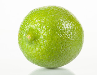 Lime on white background