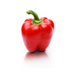 Rote Paprika