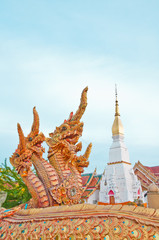 Fountain naga in Thai style at Wat Phra Thad Cheng Chum