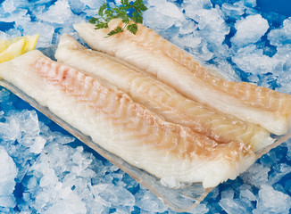 Poissons blancs