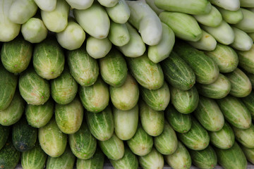 Arrangement of lots of green cucumbers