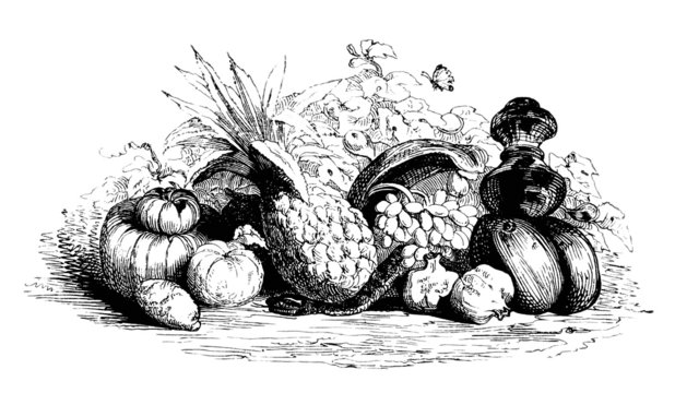 Page Ornament : Fruits - 19th century