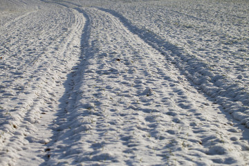Track in snow.