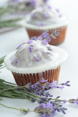 Cupcakes with frosting