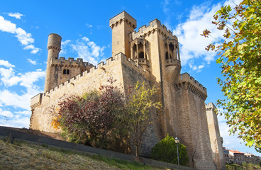 Fototapeta na wymiar Olite Castle, Navarre