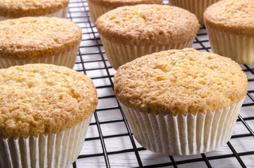 frisch gebackene cupcakes