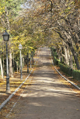 park in autumn