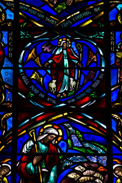 Stained Glass Saint Peter Paul Church San Francisco 2012