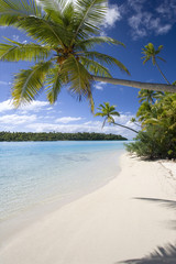 Fototapeta na wymiar Cook Islands - South Pacific