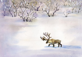 Deer in the snow - 47493537