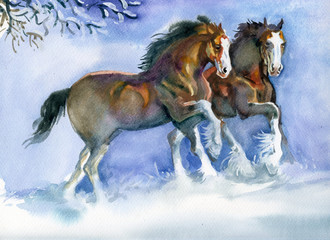 Horses running in winter