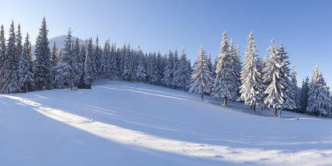 .Panorama of the winter morning in the mountains