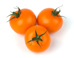 Branch of tomato isolated on white background