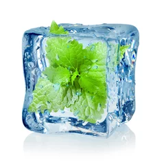 Küchenrückwand glas motiv Im Eis Eiswürfel und Minze