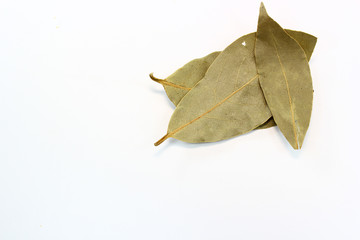 Fototapeta premium bay leaves