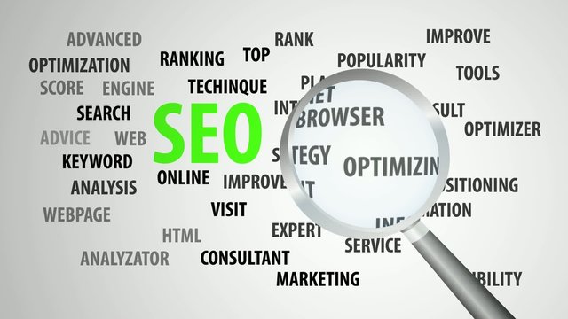 Magnifier passing over seo and related keywords