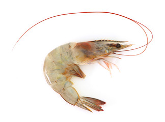 Prawn