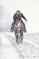 Ride in Snow Storm