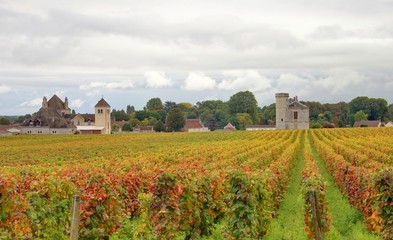 Fototapeta na wymiar winnic Burgundii