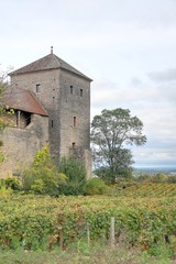 Fototapeta premium chateau en bourgogne