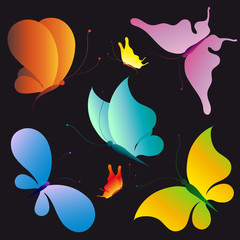 butterfly,butterflies vector