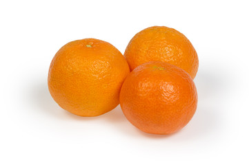 tangerines without leaves