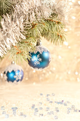 Fototapeta na wymiar Blue christmas balls on a branch of a blue spruce