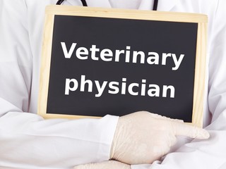 Doctor shows information on blackboard: veterinary physician