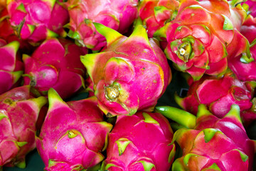 Pitaya fruits on the local market in Thailand