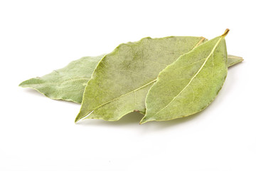 Laurel leaves isolated on white background