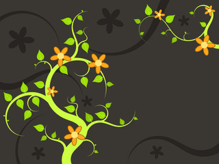 Floral background - plant ornaments vector