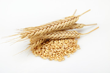 a pile of wheat
