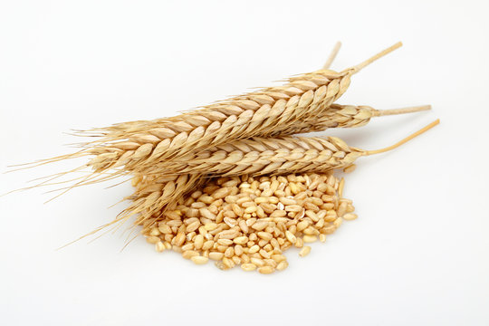 A Pile Of Wheat