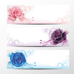 Rose banner collection 2