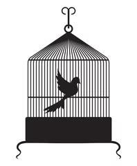 Papier Peint photo Lavable Oiseaux en cages Cage à oiseaux