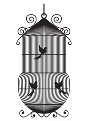 Photo sur Aluminium Oiseaux en cages Cage à oiseaux